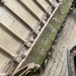 Cathédrale de Reims : Dévégétalisation et nettoyage