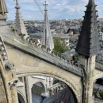 Cathédrale de Reims : Dévégétalisation et nettoyage